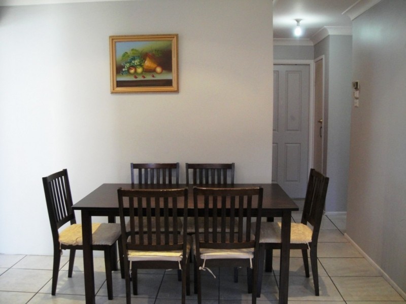 11 SERCIAL PLACE, Eschol Park NSW 2558