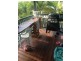 14 McIntyre Street, East Mackay QLD 4740