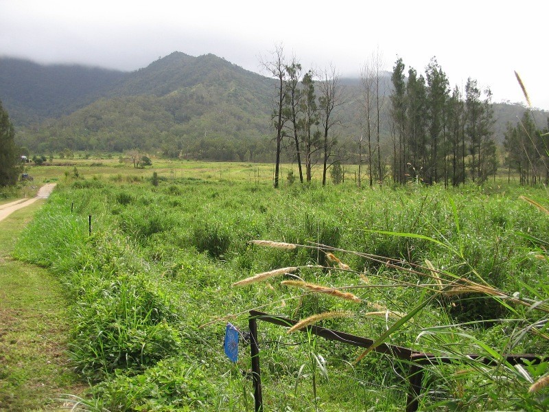 lot 3 and 161  Mackay-Eungella Rd, Mackay QLD 4740