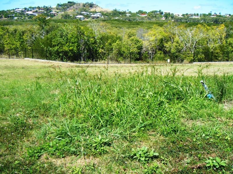 LOT 10 Village Circuit, Eimeo QLD 4740