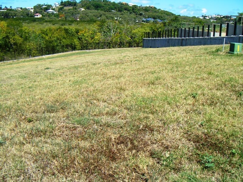 Eimeo QLD 4740