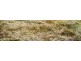 Eimeo QLD 4740