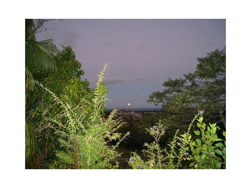 7 Eulbertie Avenue, Eimeo QLD 4740