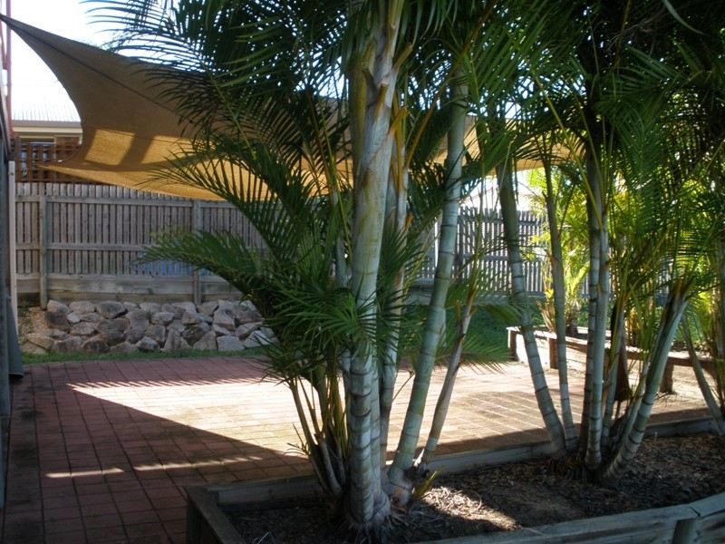 25 Silver Gum Drive, Andergrove QLD 4740