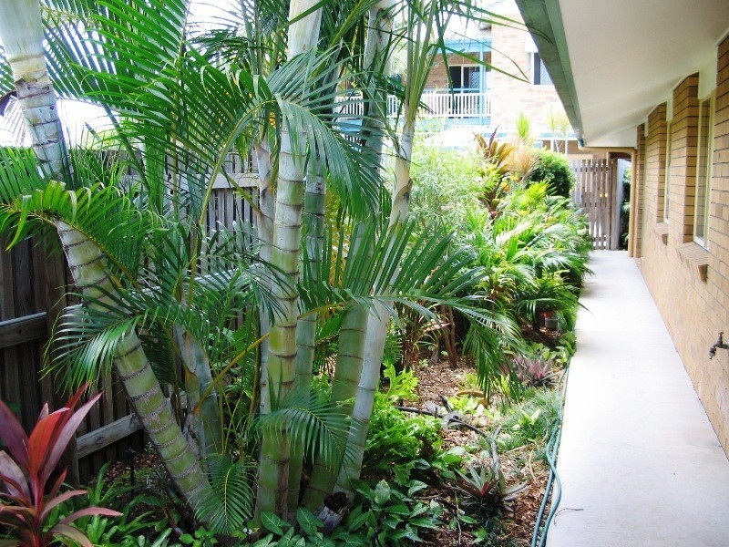 22 AND 24 4 DON WRIGHT CRT, Andergrove QLD 4740