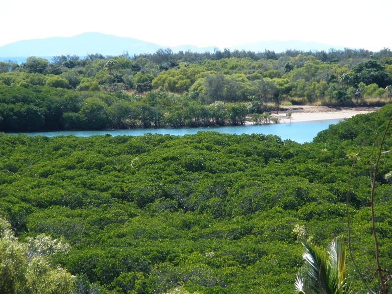 119 Apsley Way, Andergrove QLD 4740