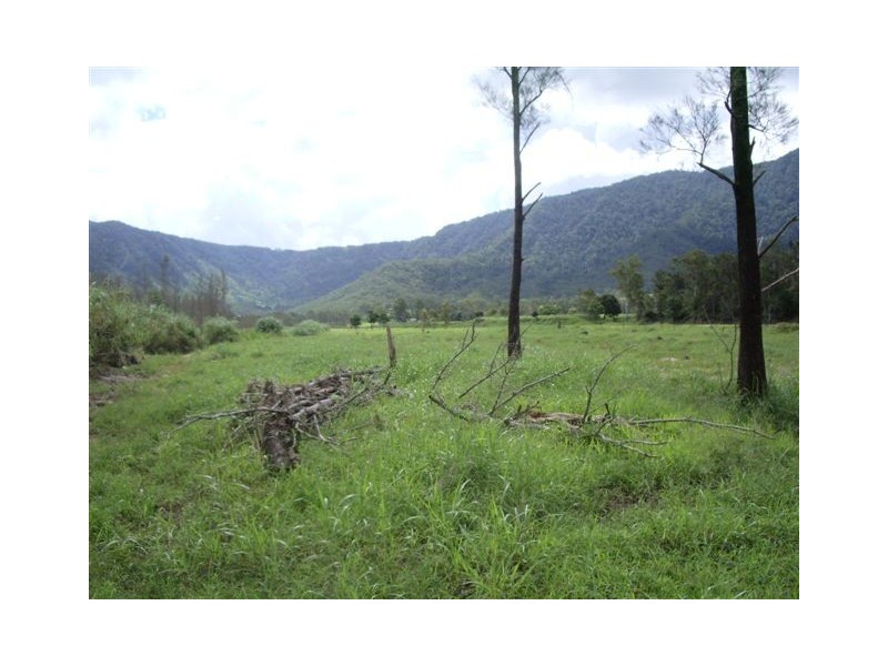 Lot 97 Pittionis Road, Netherdale QLD 4756