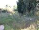 Shoal Point QLD 4750