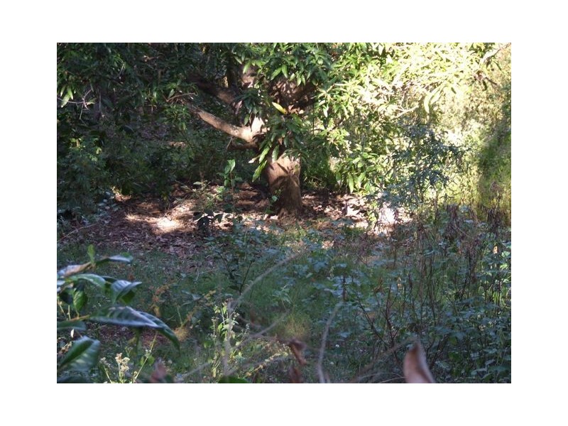 Shoal Point QLD 4750