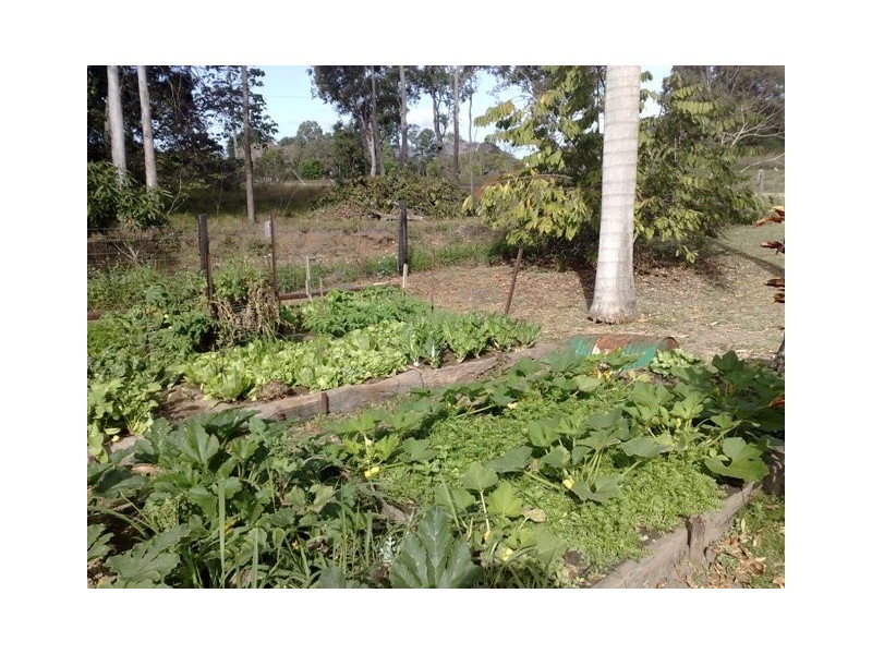 13 Mt.Ossa Road, Mount Ossa QLD 4741