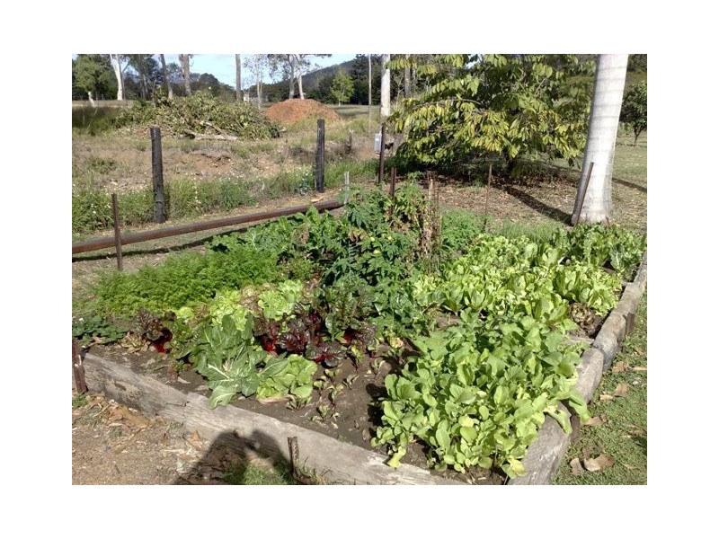 13 Mt.Ossa Road, Mount Ossa QLD 4741