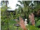 938 Mt Martin Loop Road, Mirani QLD 4754