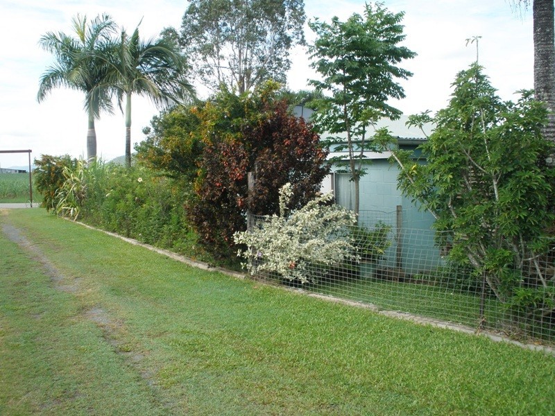 938 Mt Martin Loop Road, Mirani QLD 4754