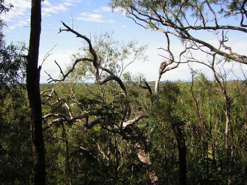 Grasstree Beach QLD 4740