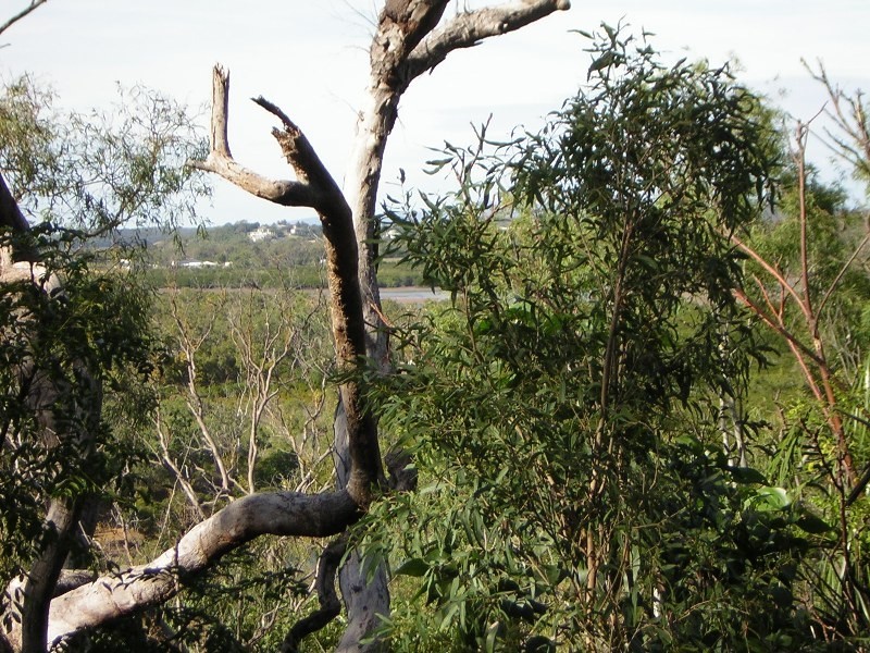 Grasstree Beach QLD 4740