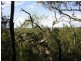 Grasstree Beach QLD 4740