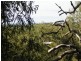 Grasstree Beach QLD 4740