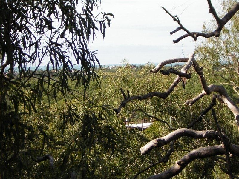 Grasstree Beach QLD 4740