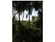 Grasstree Beach QLD 4740