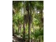 Grasstree Beach QLD 4740