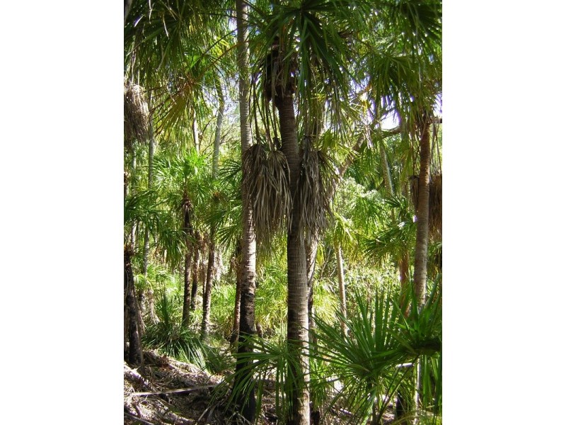 Grasstree Beach QLD 4740