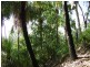 Grasstree Beach QLD 4740