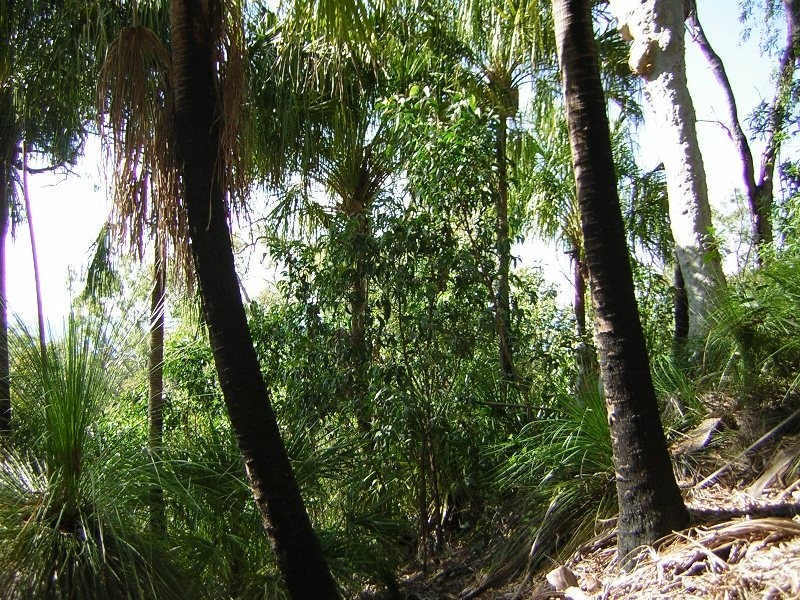 Grasstree Beach QLD 4740