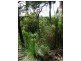Grasstree Beach QLD 4740