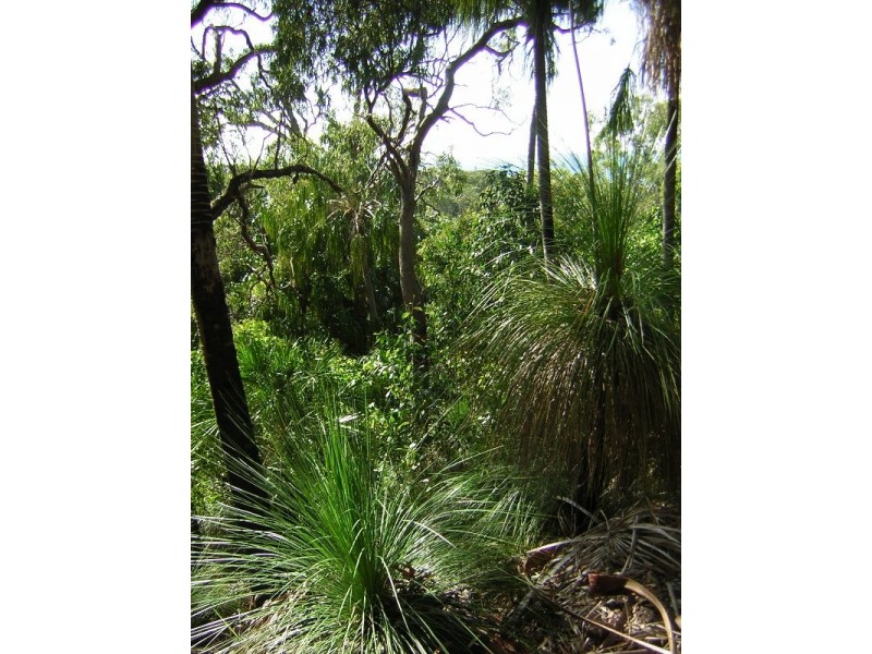 Grasstree Beach QLD 4740