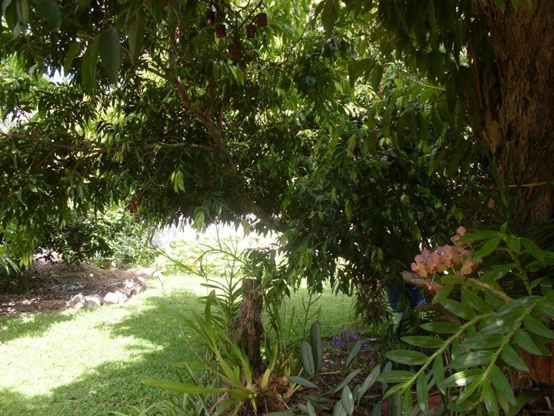 3 Frank Cowley Drive, Glenella QLD 4740