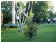 65 Kippen Street, South Mackay QLD 4740