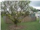 2 Victoria Street, Mirani QLD 4754