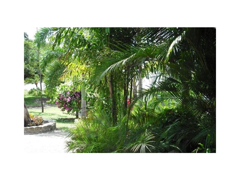 6 BAXTER AVENUE, Whitsundays QLD 4802