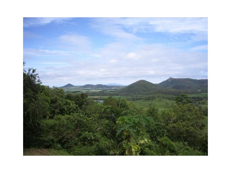 165 GARDINERS ROAD, Habana QLD 4740
