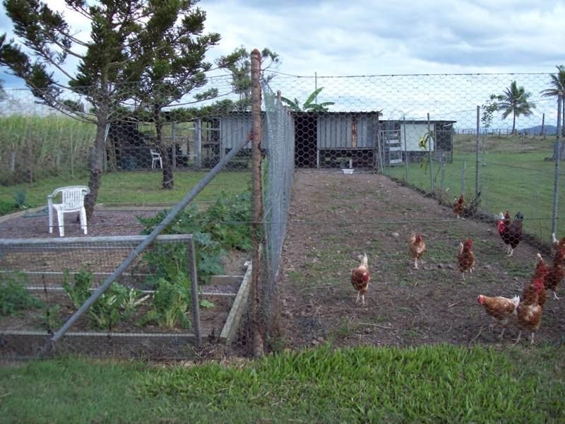 2838 Mackay-Eungella Road, Mirani QLD 4754