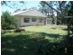 20 Walsh Avenue, Seaforth QLD 4741