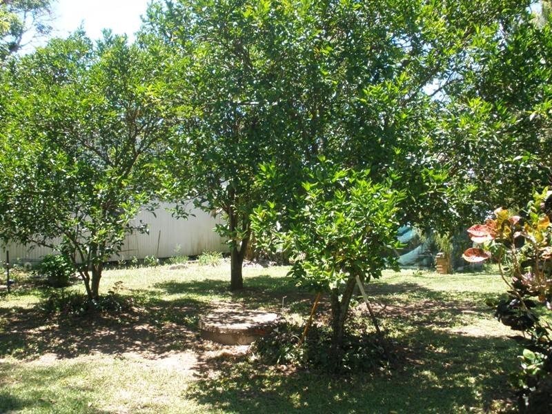 20 Walsh Avenue, Seaforth QLD 4741