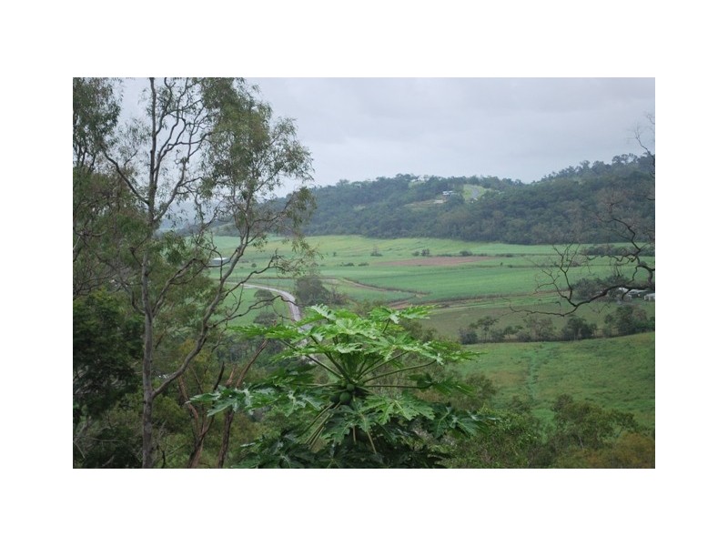 874 Yakapari-Habana Road, Habana QLD 4740