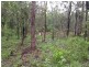 188 Old Bowen Coach Road, Balnagowan QLD 4740