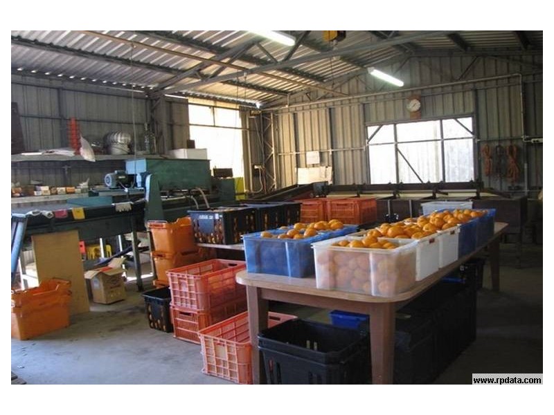 392 Price Road, Koumala QLD 4738