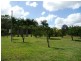 482 Marian-Hampden Rd, Hampden QLD 4741