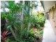 18 AND 20 4 Don Wright Court, Andergrove QLD 4740