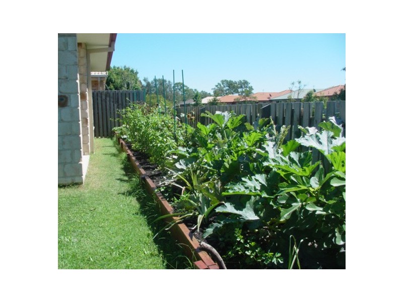 Varsity Lakes QLD 4227