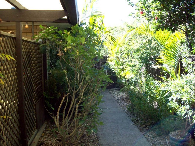 253 MALLAWA DR, Palm Beach QLD 4221