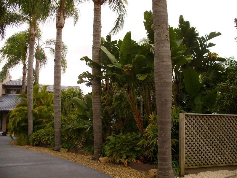 Mermaid Waters QLD 4218