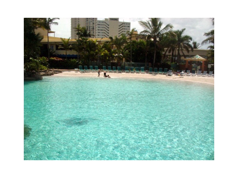 5 Palm Avenue, Surfers Paradise QLD 4217