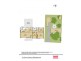 55 Dora Street, Blacktown NSW 2148 Floorplan