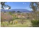 4 Carlow Close, Armidale NSW 2350