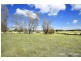 806 Black Mountain Road, Black Mountain, Armidale NSW 2350