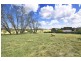 806 Black Mountain Road, Black Mountain, Armidale NSW 2350